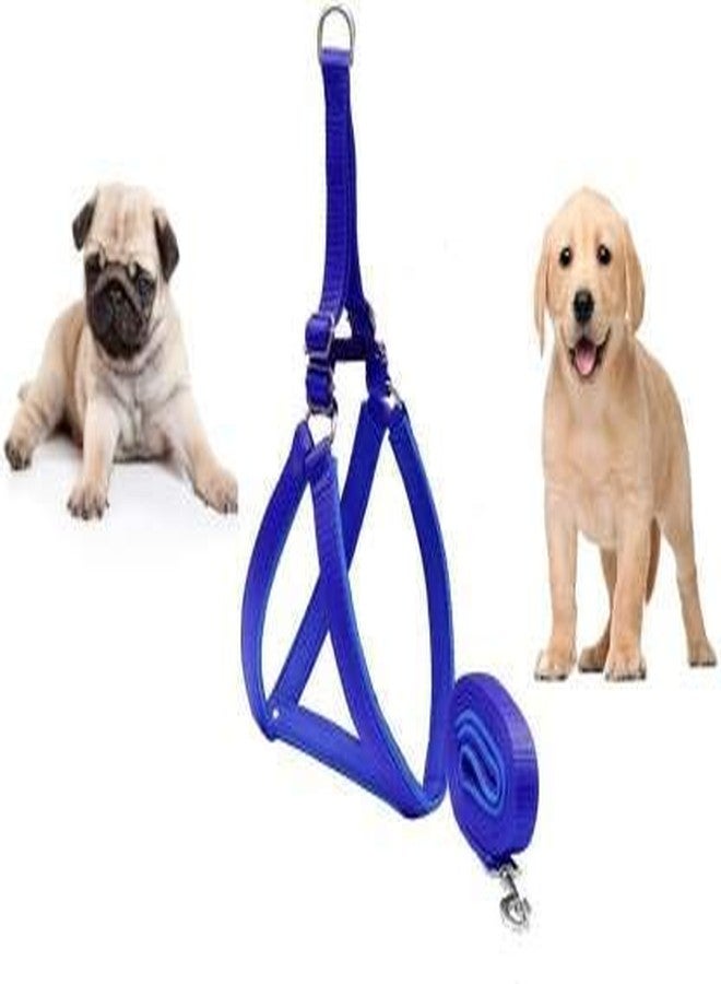 Pups&Pets Pet Nylon Soft Padded Body Set-Leash & Harness Blue (Small).
